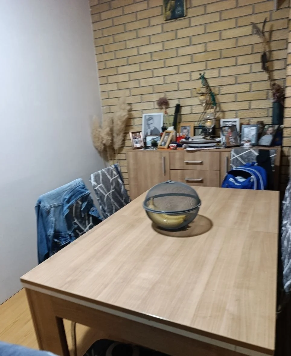 4-х комнатная квартира в городе. 40 км от Нови Сада