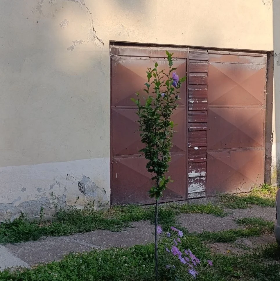 4-х комнатная квартира в городе. 40 км от Нови Сада