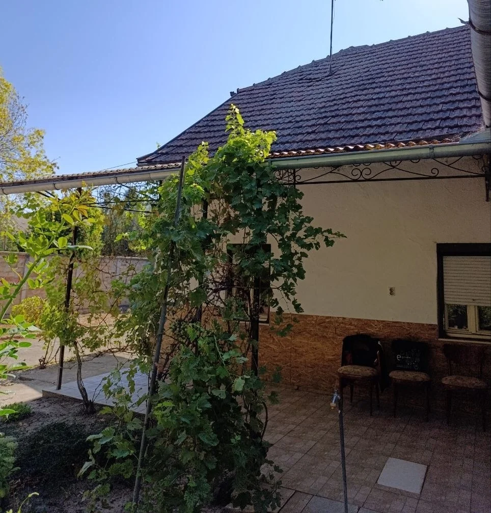 Комфортный дом в центре села. 50 км от Нови Сада.