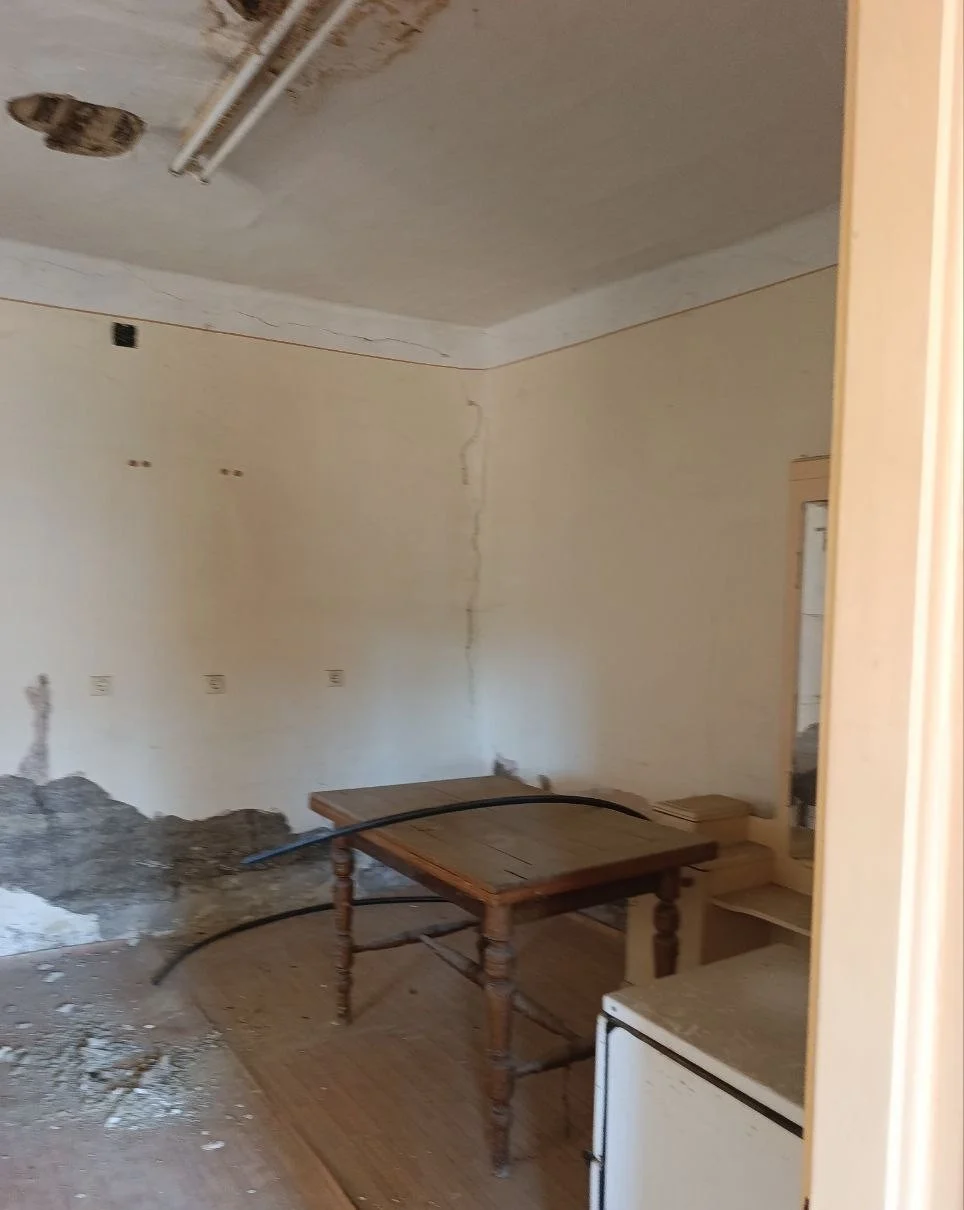 Дом в центре села под ВНЖ/дачу/проживание. 50 км от Нови Сада.