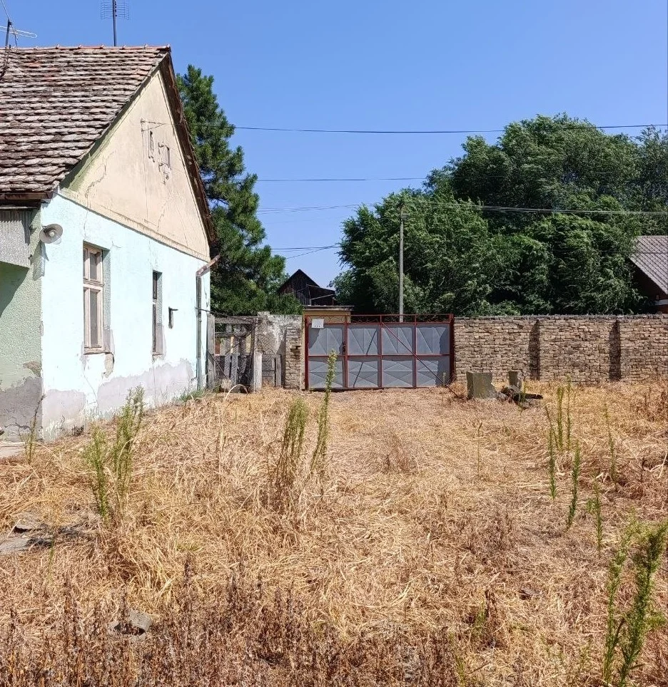Дом в центре села под ВНЖ/дачу/проживание. 50 км от Нови Сада.