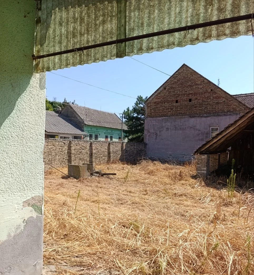 Дом в центре села под ВНЖ/дачу/проживание. 50 км от Нови Сада.