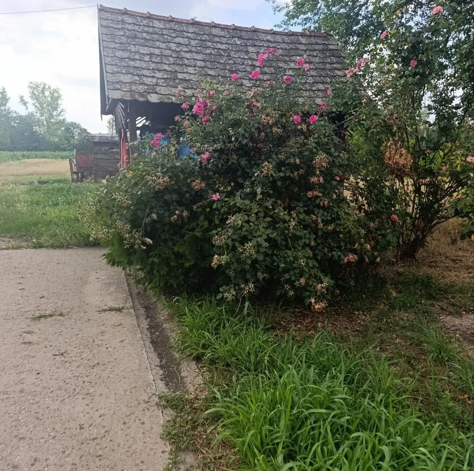 Большой кирпичный дом с мебелью и техникой. 50 км от Нови Сада. 18 км от Бачка Топола.