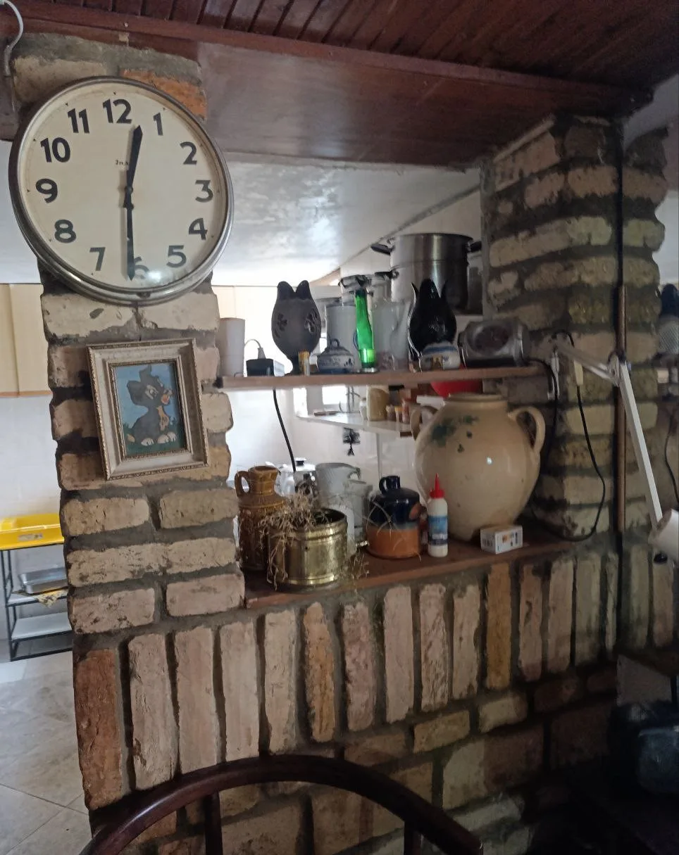 Крепкий кирпичный дом. 35 км от Нови Сада