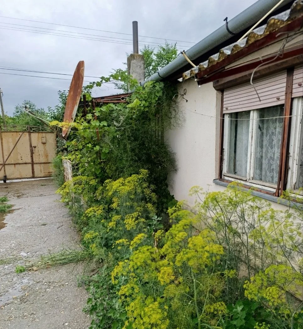 Недорогой дом под дачу/ВНЖ/проживание. 50 км от Нови Сада.
