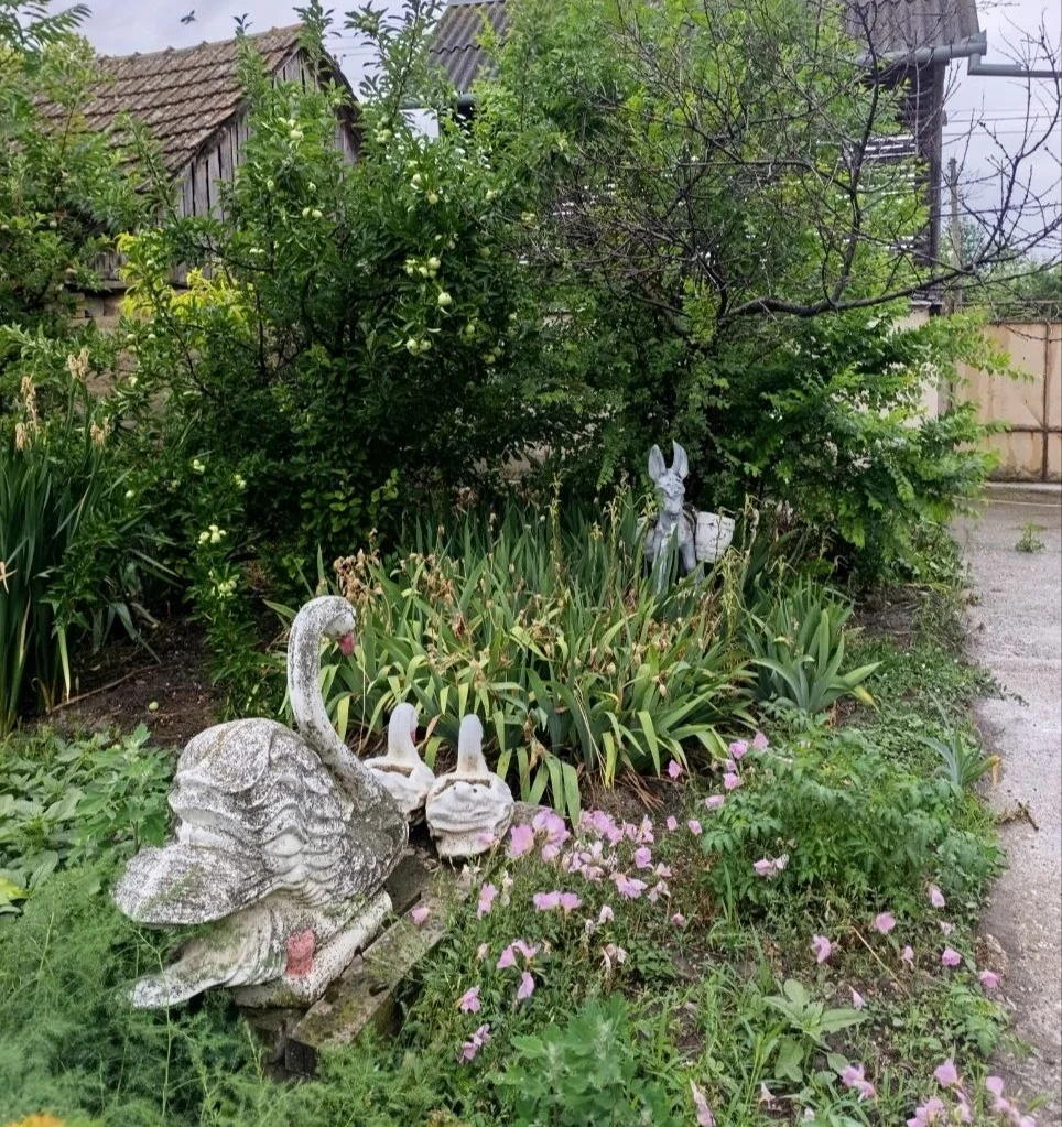 Недорогой дом под дачу/ВНЖ/проживание. 50 км от Нови Сада.